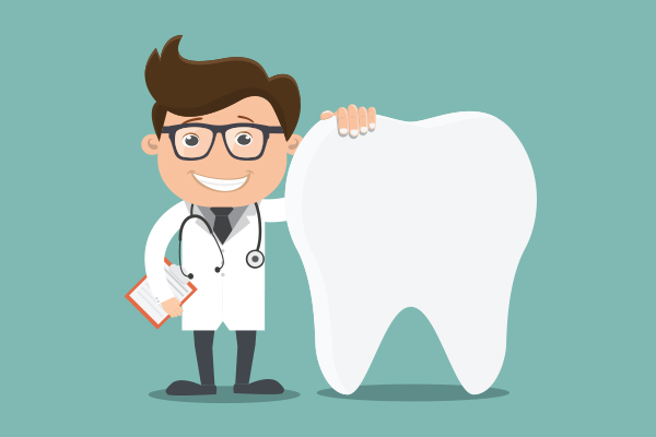 Types Of Teeth: Incisors, Canines, Premolars And Molars